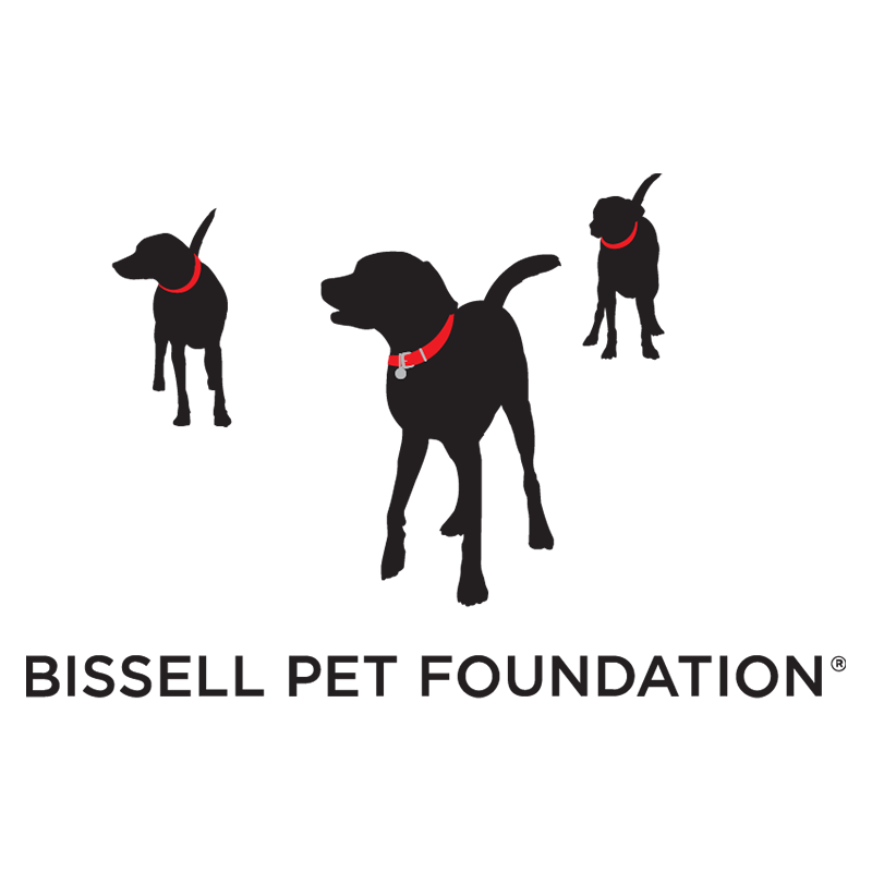 3 black labs bissell pet foundation